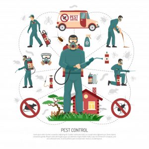 Professional pest control
